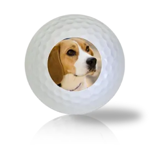 Beagle Golf Balls