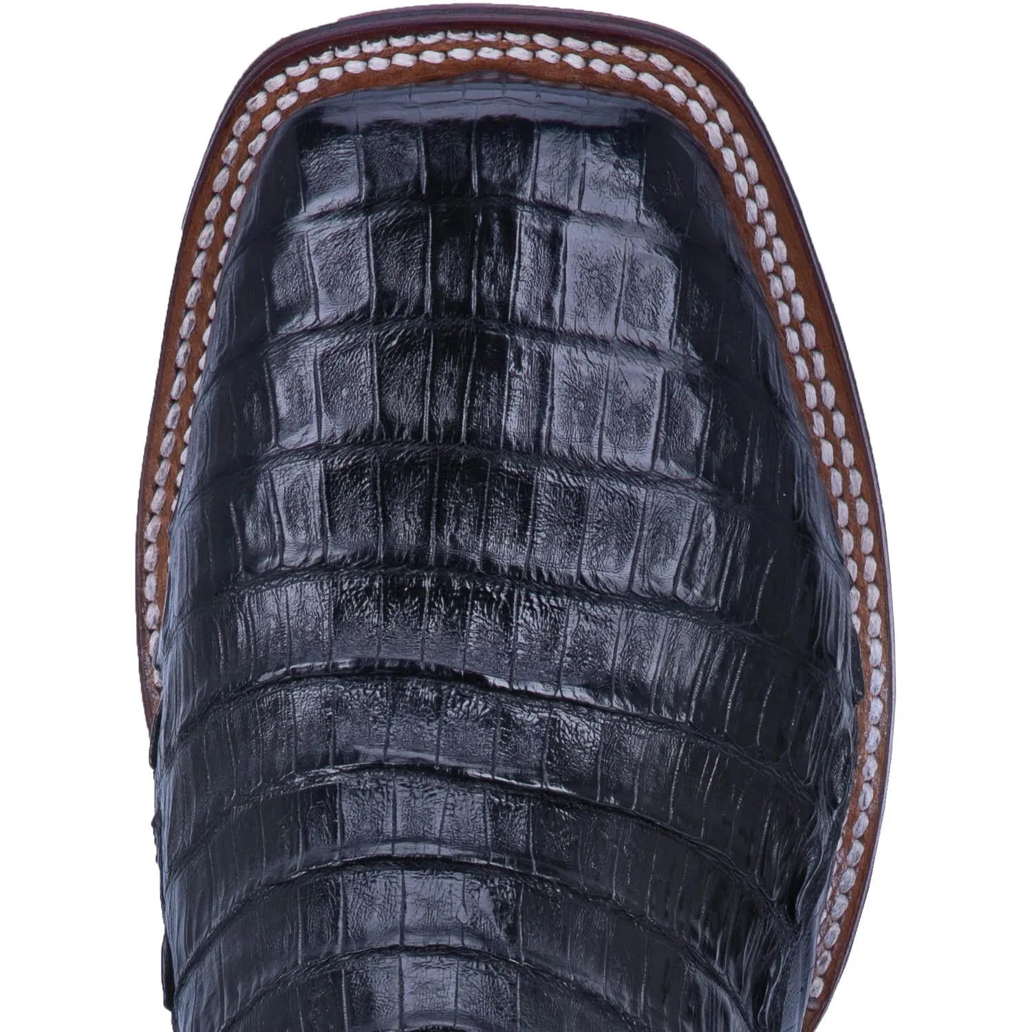 Dan Post DP4805 11" Kingsly Black Caiman Wide Square Toe (SHOP IN-STORE TOO)