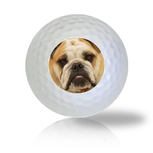 English Bulldog Golf Balls