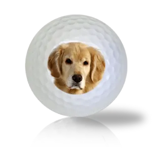 Golden Retriever Golf Balls