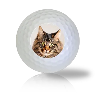 Maine Coon Cat Golf Balls