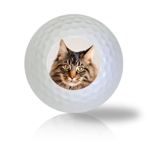 Maine Coon Cat Golf Balls