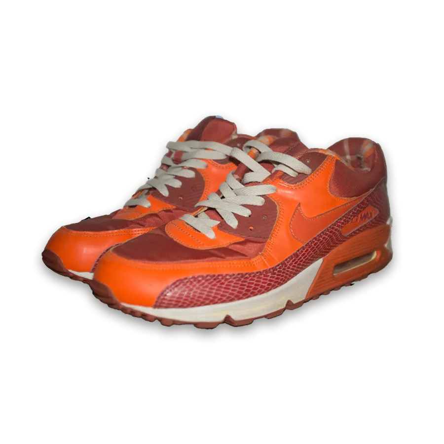 Nike Air Max 90 Steve Nash US 10.5