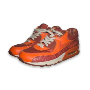 Nike Air Max 90 Steve Nash US 10.5