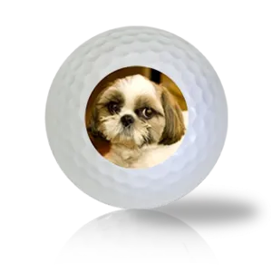 Shih Tzu Golf Balls